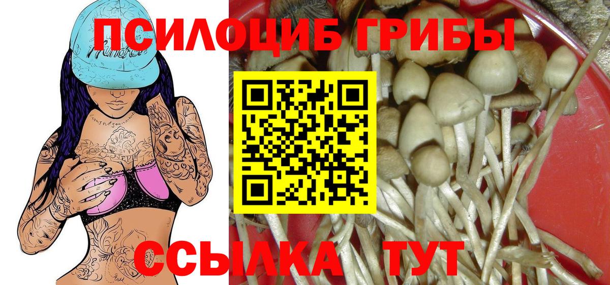 Топки  Псилоцибиновые грибы MAGIC MUSHROOMS  Галлюциногенные грибы Magic Shrooms  Вход с VPN 
