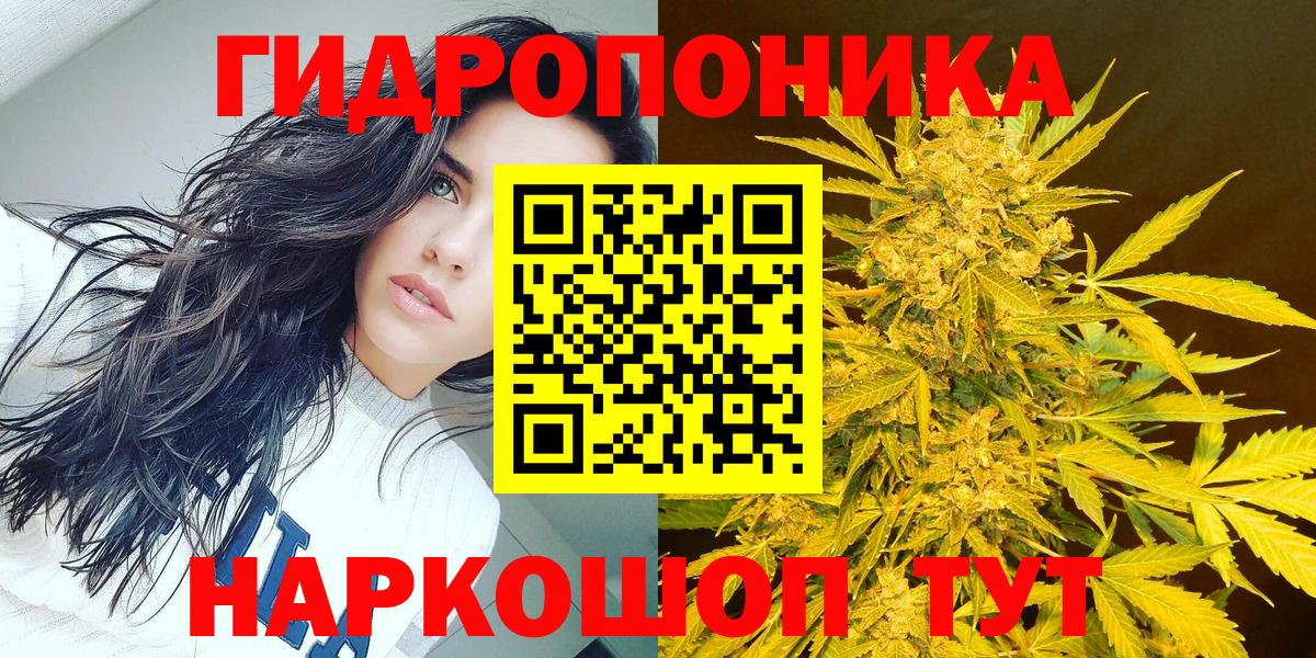Шишки марихуана Bruce Banner Топки
